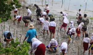 Penanaman-Mangrove-3-scaled-e1658920024679