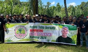 Petani Tebu Bersatu Bone