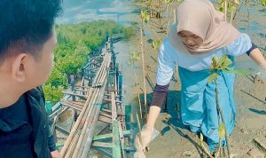 Robohnya Jembatan Mangrove Untia: Panggilan untuk Aksi Nyata