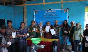 Inovasi Kampus Universitas Wira Bhakti Dorong Cabai Katokkon dan Pamelo "Naik Kelas"